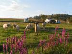 Wandel Actief Week Slowakije